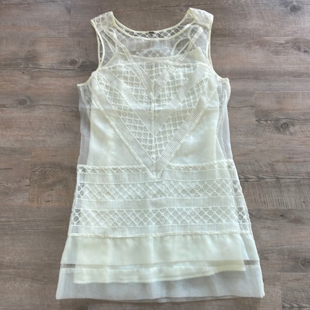 Free People Mint / Light green overlay eyelet / organza lace dress size M.